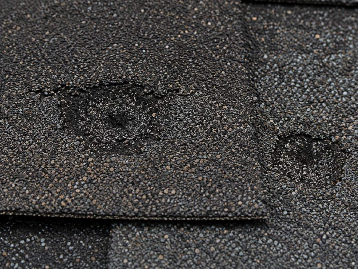 Hail bruising shingles Plano TX